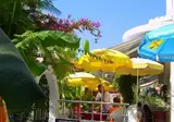 Fortin foto 15