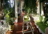 La Palma Jardin Resort foto 13