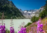 De mooiste Alpentoppen van Zwitserland, Meiringen foto 5