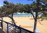 Camping Pino Mare foto 2