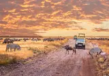 Tanzania Compleet foto 3
