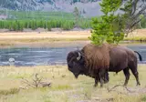 Wyoming's Wind River Country foto 3