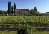 Villa dei Cedri S.P.A. foto 5