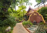 Phuket Orchid Resort & Spa foto 23