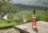 Johannishof Wein-Café & Gästehaus foto 2