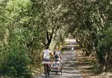 Arba Resort Valamar Collection foto 12