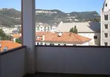Corallo foto 6