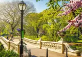 Discover the East Coast by Train foto 5