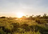 Perfect Match Namibia and Botswana foto 1
