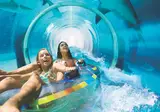 Atlantis, The Palm foto 25