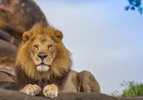 Suid-Afrika Compleet foto 2