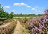 Landgoed De Uitkijk foto 25