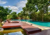 Jungle Beach Resort foto 23