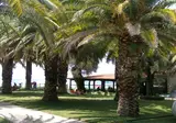 Camping Castello foto 19