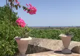 Villa Favorita Relais foto 21