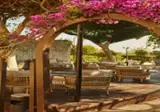 Grande Albergo delle Rose foto 19