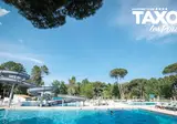 Taxo Les Pins foto 20