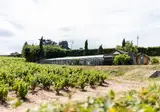 La Grappe Fleurie foto 7