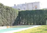 Chiostro dei Domenicani foto 10