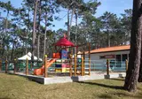 Sao Pedro De Moel foto 6