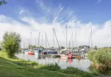 De Biesbosch foto 13