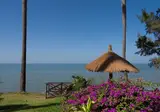 Ngala Lodge foto 6