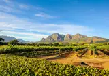 Wonderlik Suid-Afrika foto 14