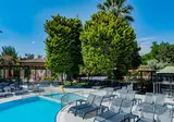 Fly & Go Marbel Hotel by Palm Wings foto 20