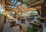 Contessa foto 4