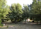 Agriturismo Villa Graziani foto 14
