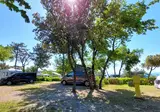 Camping Mare Pineta foto 12