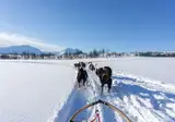 8-daagse Winterbelevenis Tromsø, Kiruna en het IJshotel foto 3