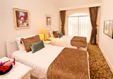 The Olive Tree Hotel foto 15