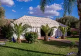 Las Palmeras foto 28
