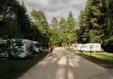 Forest Camping Mozirje foto 10