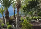 Parador de La Gomera foto 18