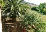 Villa Silvia foto 2