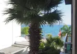 Yunus Hotel foto 6