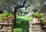 Agriturismo Il Vecchio Casale foto 22