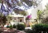 Allida Formentera foto 10