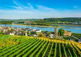 Romantische Rijn foto 14