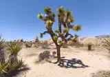 West-Amerika op het gemak foto 1
