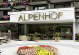 Hotel Alpenhof foto 24