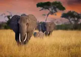Tanzania Compleet foto 12
