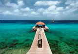 Hotel Divi Flamingo Beach Resort & Casino foto 6