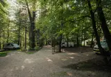 Forest Camping Mozirje foto 16