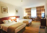 Excelsior Downtown Hotel foto 3