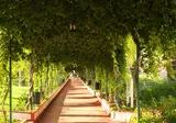 Hotel Turan Prince foto 15
