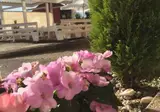 Hotel Rosalia foto 13