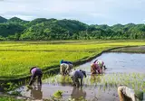 Ontdek Lombok foto 3
